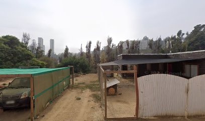 NMP PAINTBALL