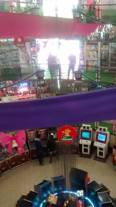 TECNI SERVICIO RG