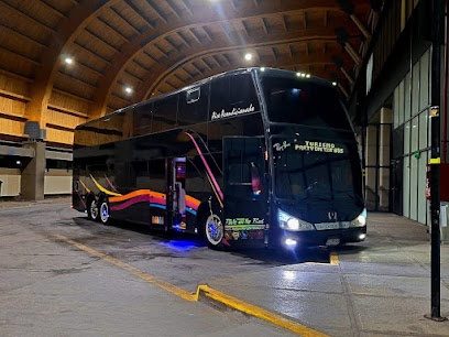 Turismo Party On The Bus